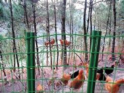 养殖围栏 荷兰网生产基地