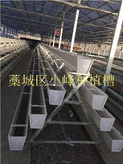 基質無土栽培種植槽廠家銷售