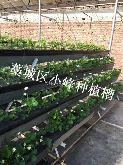 河北基質無土栽培種植槽