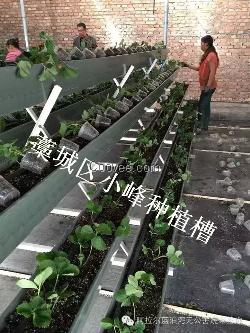 瓜果蔬菜立體式種植槽