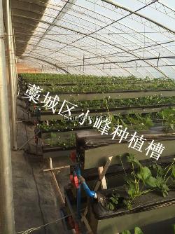 蔬菜立體種植槽
