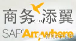 廣州sap咨詢公司/德誠軟件sell/廣