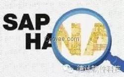 SAPAnywhere/德誠軟件sell