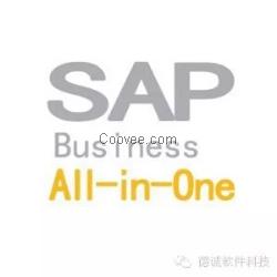 SAPALLInOn/德誠軟件sell/