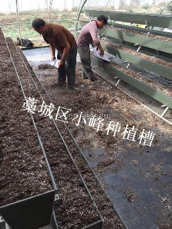 瓜果蔬菜立体式种植槽 生产厂家