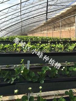 蔬菜种植槽  生产厂家