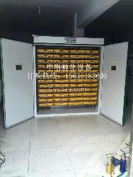 厂家直销的全自动孵化机 德州华明直销