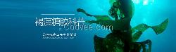 可信赖的牛樟菇,馥阔（上海）生物科技