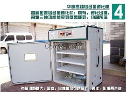 高端配置硬质铝合金孵化机 华明品牌直销