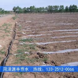 張家口土豆膜下滴灌帶生產廠家