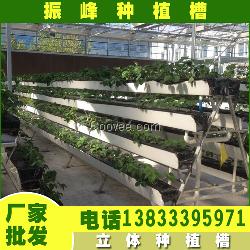 厂家供应草莓种植槽 草莓立体式种植价格
