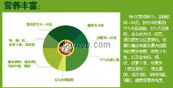 供应商核桃油
