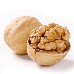 供应核桃蛋白粉