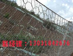 钛克网  厂家直销