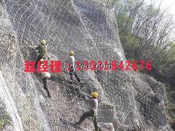 鼎力钛克网