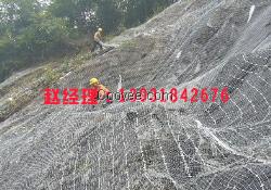 代理钛克网