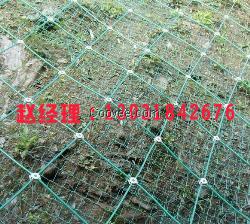框架护栏网  厂家