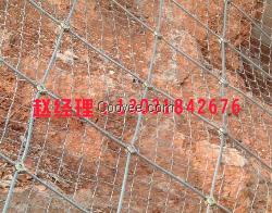 框架护栏网  批发