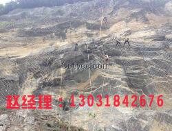框架护栏网  价格