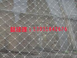框架护栏网  代理咨询