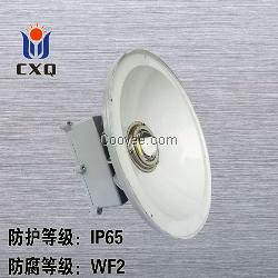 LED节能工厂灯60W 节能高顶灯80W