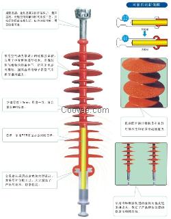 复合绝缘子FXBW-110/100
