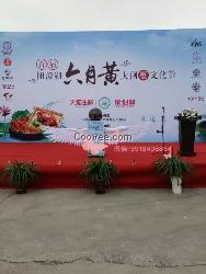 上海中奧提供啟動翅膀等慶典開幕道具租