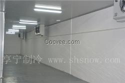 茶叶保鲜库茶叶冷库上海茶叶保鲜库茶叶保鲜