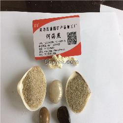 兒童沙灘樂園用的天然海沙兒童玩耍游戲海沙