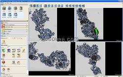 TissueStudio软件图像量化分析