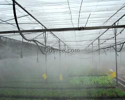 食用菌遮阳网_大棚遮阳网现货【金耀捷】