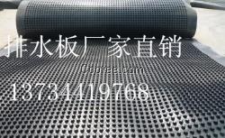 通化厂家直销供应排水板
