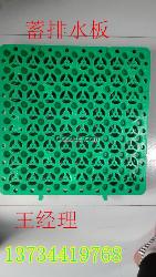 大興安嶺排水板廠家直銷