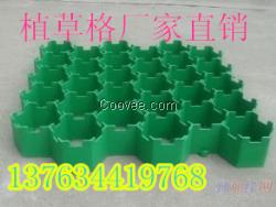 南通绿都建材植草格质优价廉规格