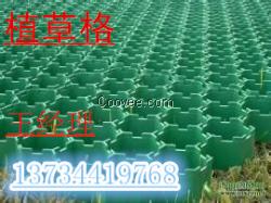连云港绿都建材植草格规格质优价廉