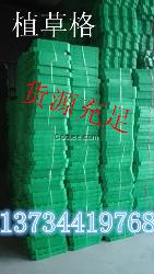 淮安綠都建材供應天津植草格