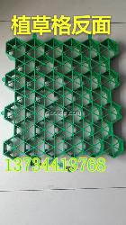 泰州綠都建材供應(yīng)植草格