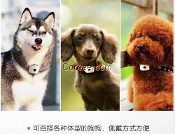 全國出售有寵貝貝寵物防丟與智能設備