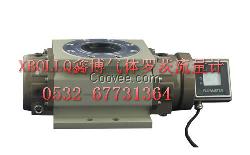 山東青島酒店天然氣腰輪流量計