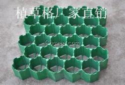 衢州綠都建材供應植草格