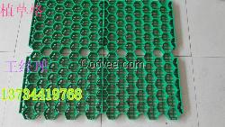 臺(tái)州綠都建材供應(yīng)植草格