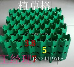 丽水绿都建材供应植草格