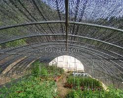 药材种植遮阳网_花草遮阳网现货【金耀捷】