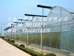 湖北連棟薄膜溫室