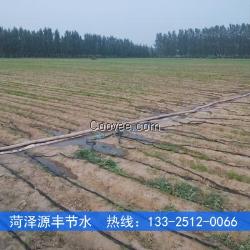 衡水胡蘿卜滴灌水肥一體化施肥技術