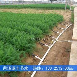河北胡蘿卜節(jié)水灌溉施肥一體化設(shè)備價格