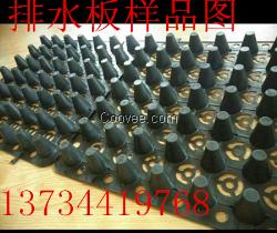巢湖排水板质优价廉