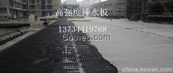 六安排水板质优价廉