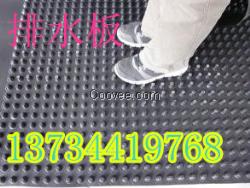 宣城綠都建材供應(yīng)排水板