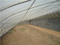 霍山縣日光溫室建造方案草莓大棚建造價格